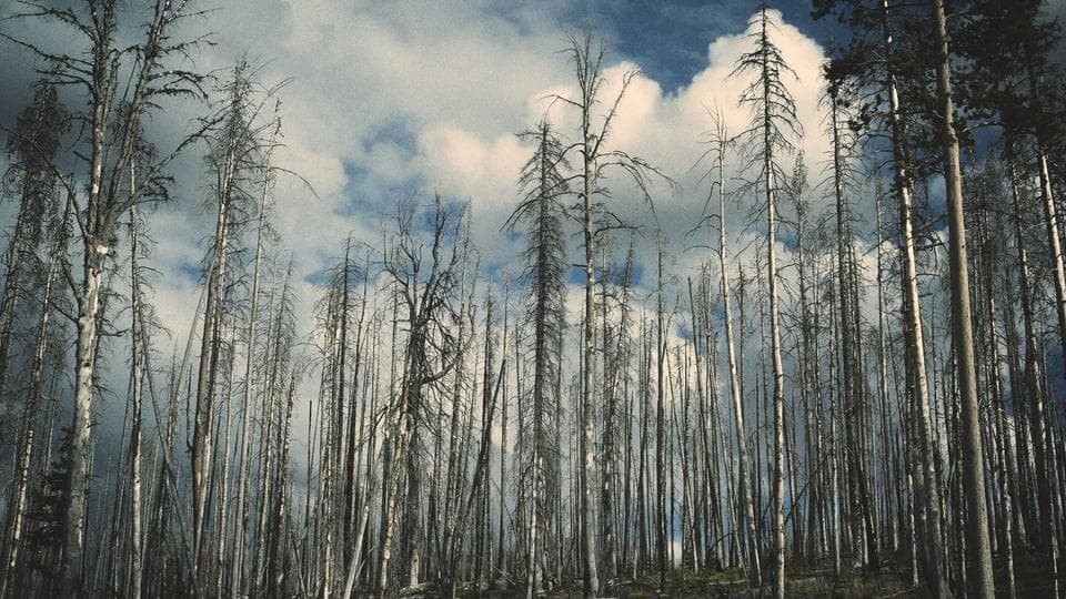 Meilenstein 2003
